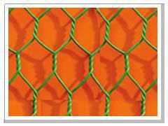Hexagonal Wire Netting  5