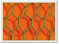 Hexagonal Wire Netting  5