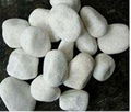 White Machine-made Pebbles supplier
