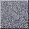 G341 grey granite tiles supplier