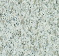 G365 white granite seller 2