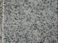 G365 white granite seller 3