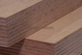 Marine Plywood / Waterproof Plywood