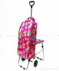 Trolley bag