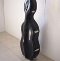 cello case 2