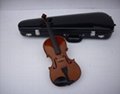 violin case