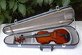 violin case 3