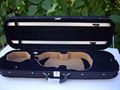 violin case 5