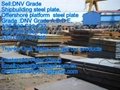  Sell :DNV steel plate A   B  D  E    1