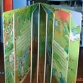 board book/children/picture/shape book 3