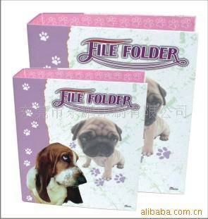 ringbinder/lever arch file/document folder 3