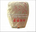 SANTAS SKY LANTERNS 4