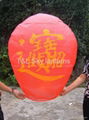 OEM Skylanterns 3