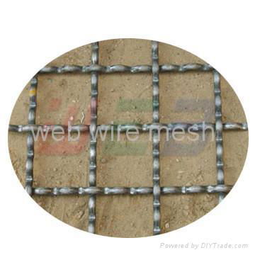 steel wire mesh  2