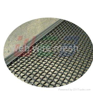 steel wire mesh  3