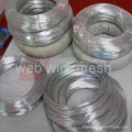 Stainless steel wire  1