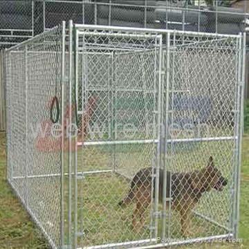 Dog kennel  5