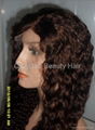 Wholesale Grade AAA 100% human remy hair full lace wig 2