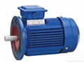 Three Phase Motors (Y2 Series)  1