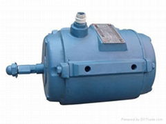 Induction Motor(YSF Series Matching