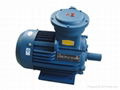 AC Motor(YB2 Series Explosion-Proof