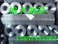 专业生产高品质热镀锌电焊网