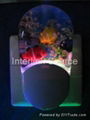 Aquarium LED Night Light