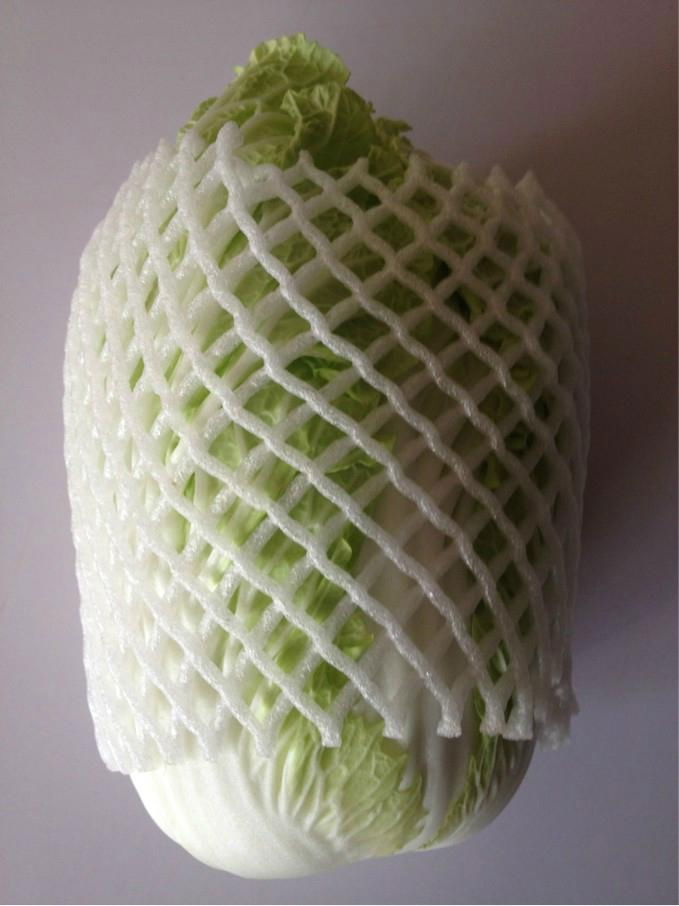 Chinese cabbage 2