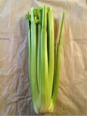 fresh celery