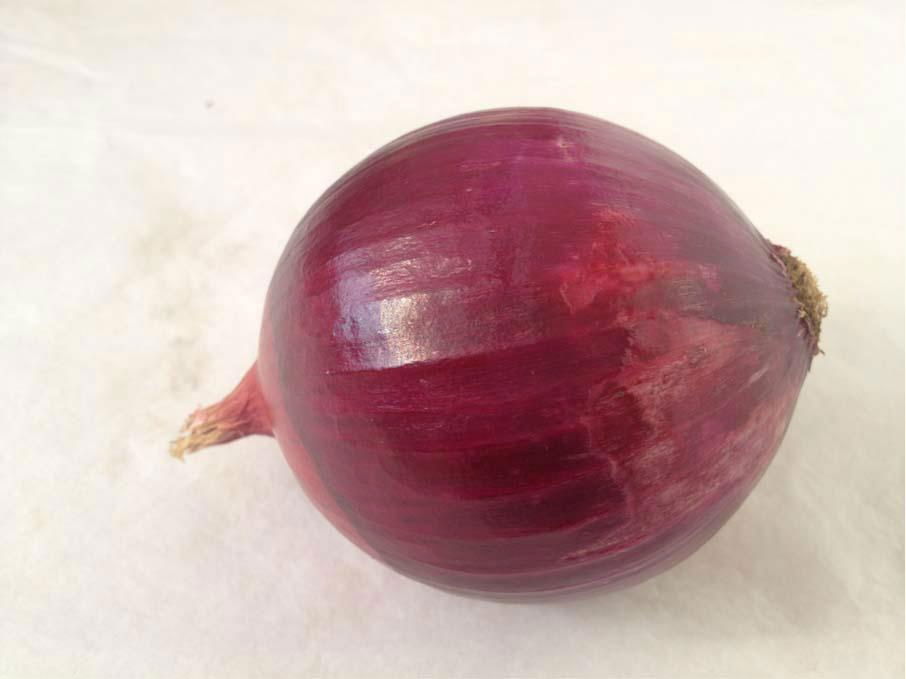 red onion 2