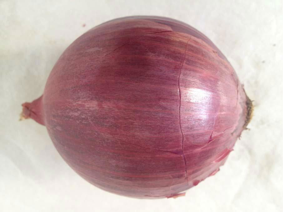 red onion 3