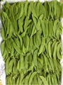 snow peas 3