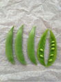 snap peas 4