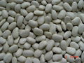 LARGE WHITE KIDNEY BEANS