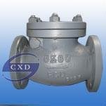 5K JIS-marine- cast iron swing check valve