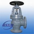 5K JIS-marine-cast steel screw down check angle valve 1