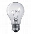 Incandescent Light Bulb A19 GLS Lamp 1