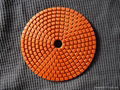 Resin metal chip Polishing Pads 1