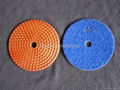 Resin metal chip Polishing Pads 2