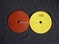 Resin metal chip Polishing Pads 3