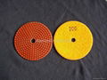 Resin metal chip Polishing Pads 4