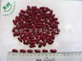 DARK RED KIDNEY BEANS