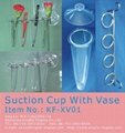 suction cup with vase