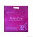 supply non woven bag 3