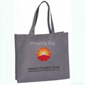 non woven bag 2