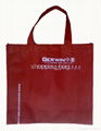 non woven bag 3