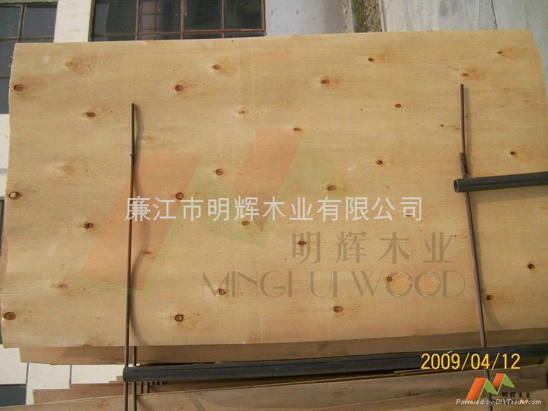 Eucalyptus wood veneer