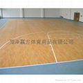 篮球地板 3