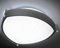 Ceiling mount lights 2