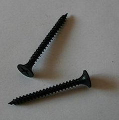 drywall screw